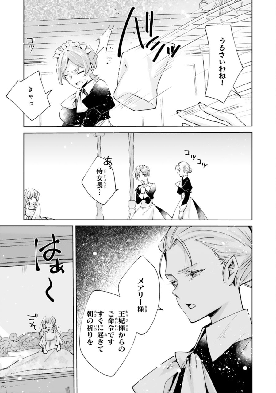 どうも、噂の悪女でございます　聖女の力は差し上げるので、私はお暇頂戴します 第5話 - Page 3