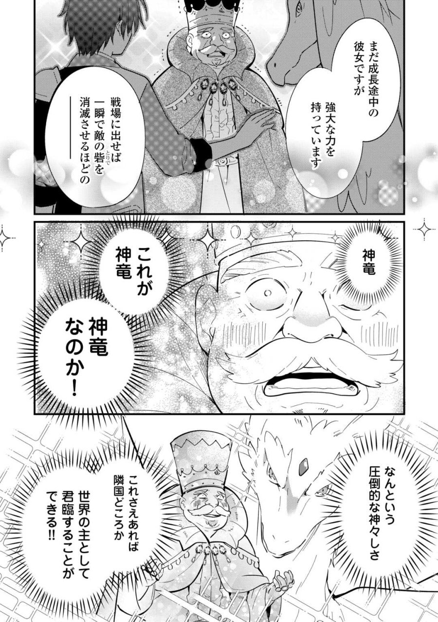 トカゲ（本当は神竜）を召喚した聖獣使い、竜の背中で開拓ライフ 第26話 - Trang 8
