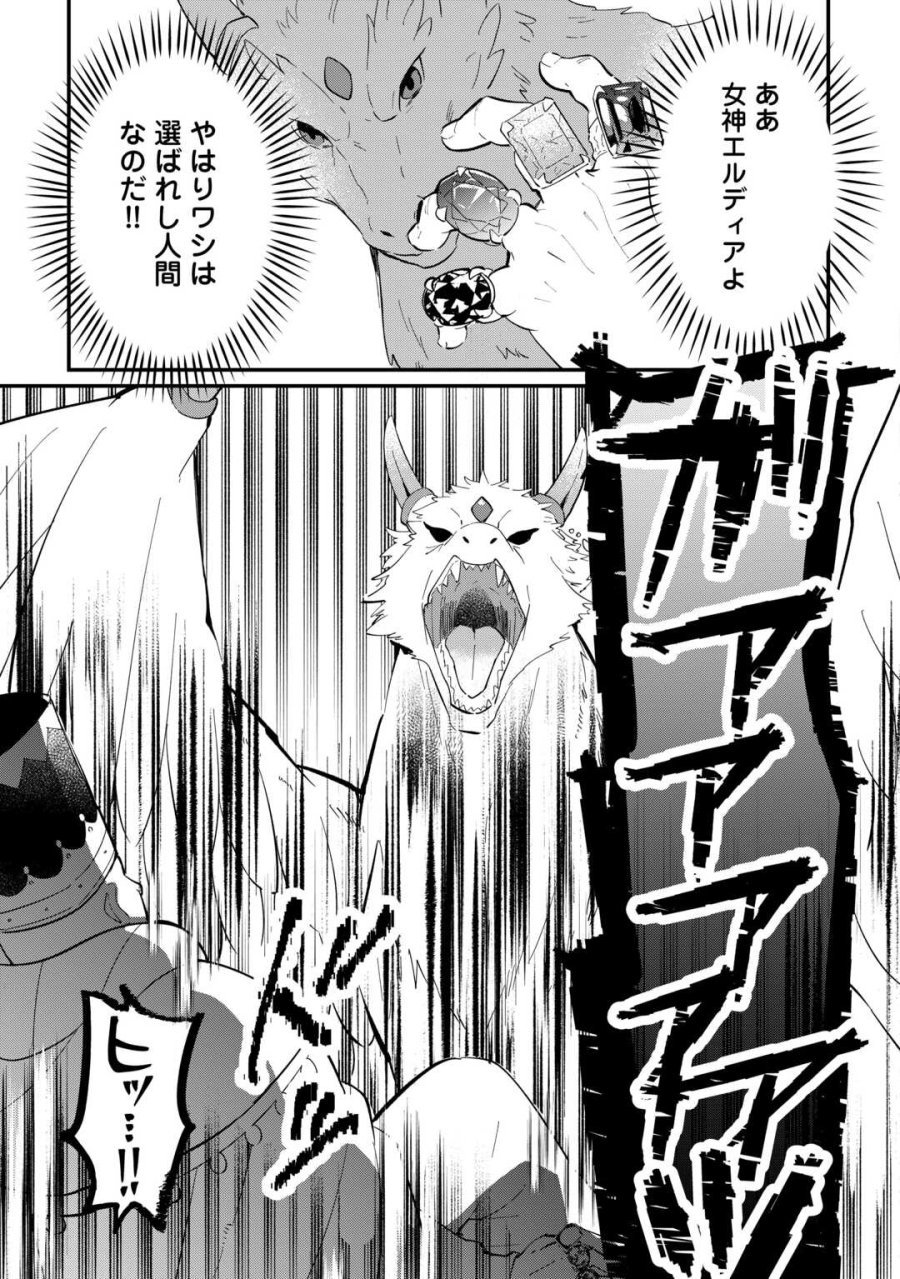 トカゲ（本当は神竜）を召喚した聖獣使い、竜の背中で開拓ライフ 第26話 - Trang 9