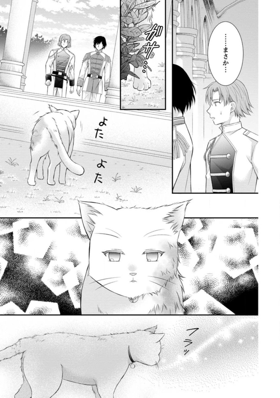呪いで猫にされた悪女、王太子に拾われる。 第21.2話 - Page 1