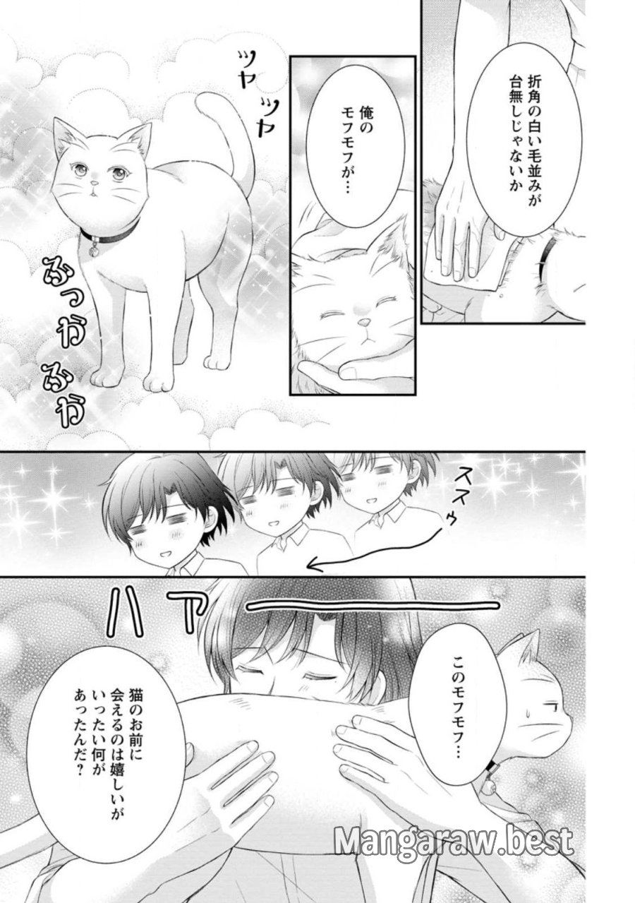 呪いで猫にされた悪女、王太子に拾われる。 第21.2話 - Page 3