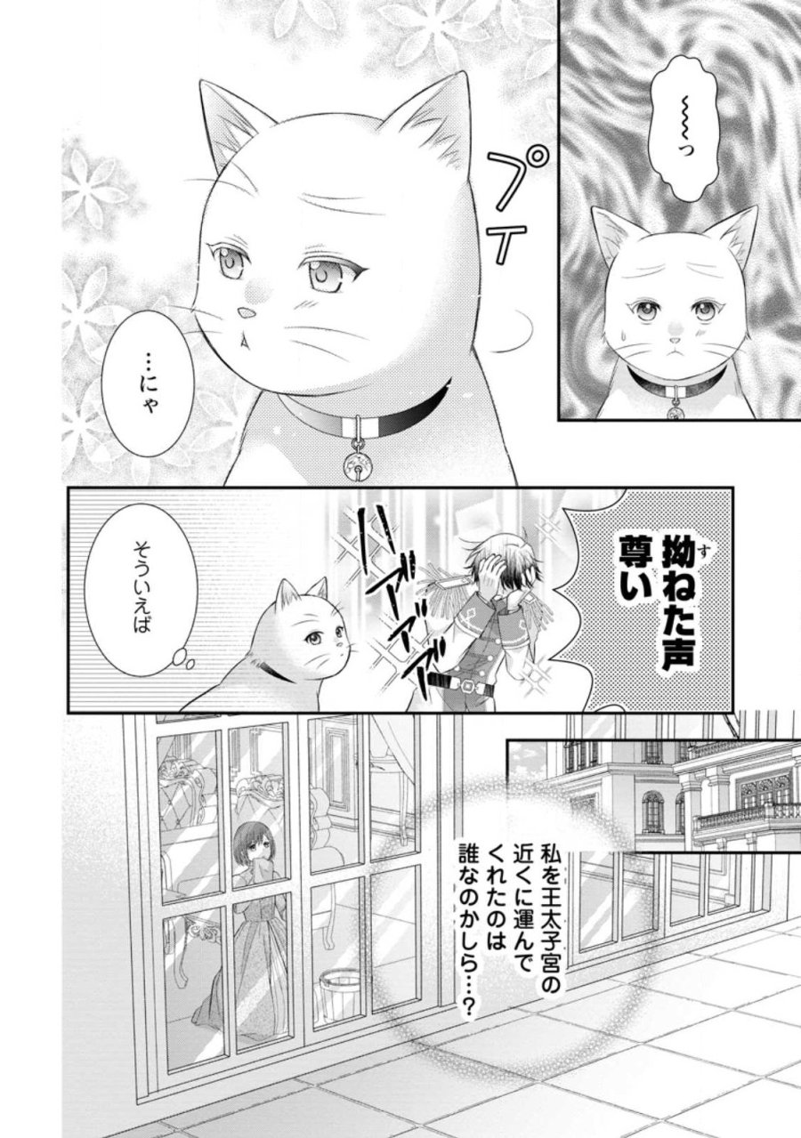 呪いで猫にされた悪女、王太子に拾われる。 第21.3話 - Page 12