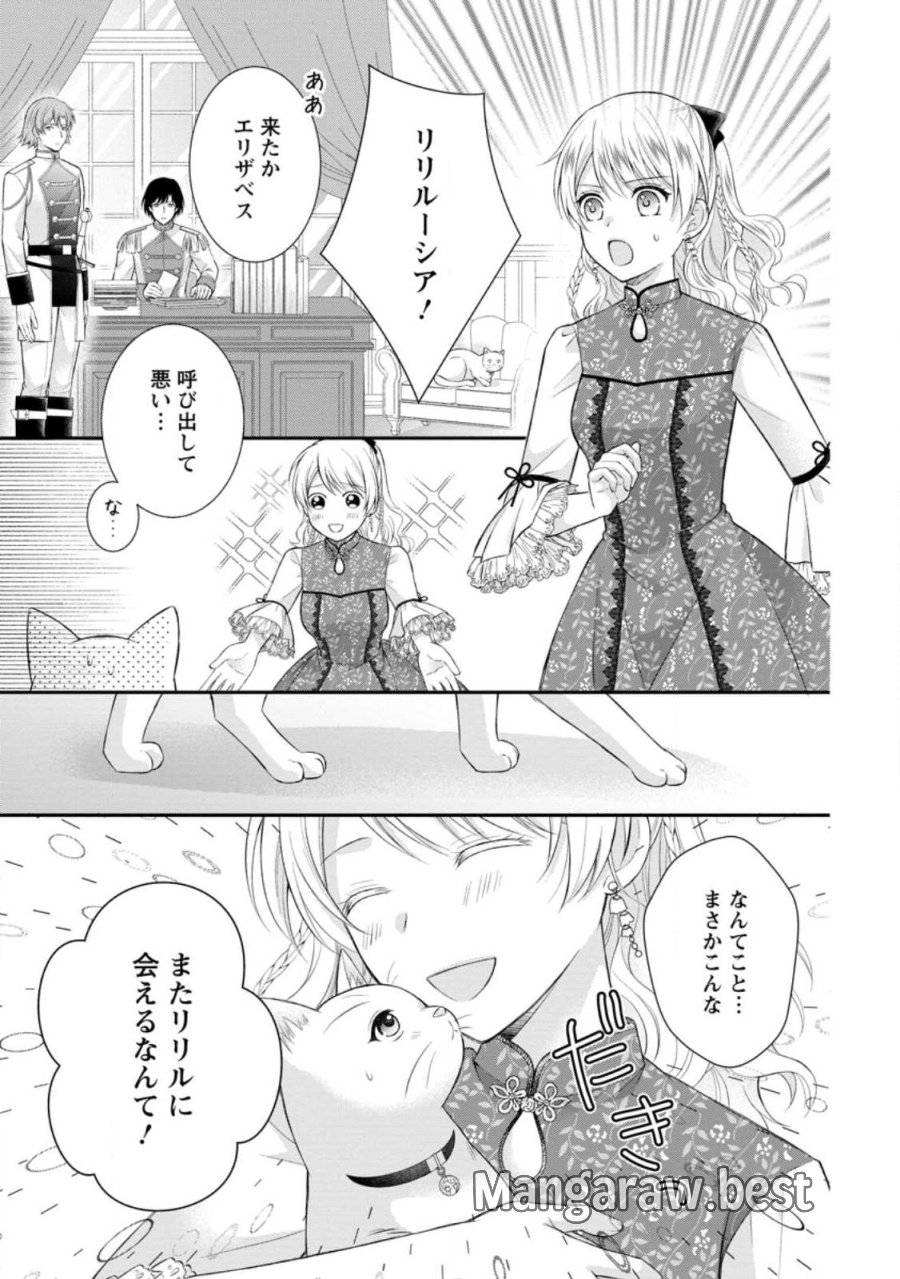 呪いで猫にされた悪女、王太子に拾われる。 第21.3話 - Page 3