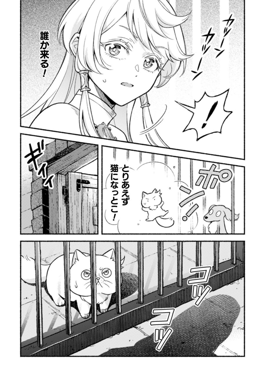 根暗騎士による溺愛満喫中のブサ猫、実は聖女です! 第12話 - Page 10