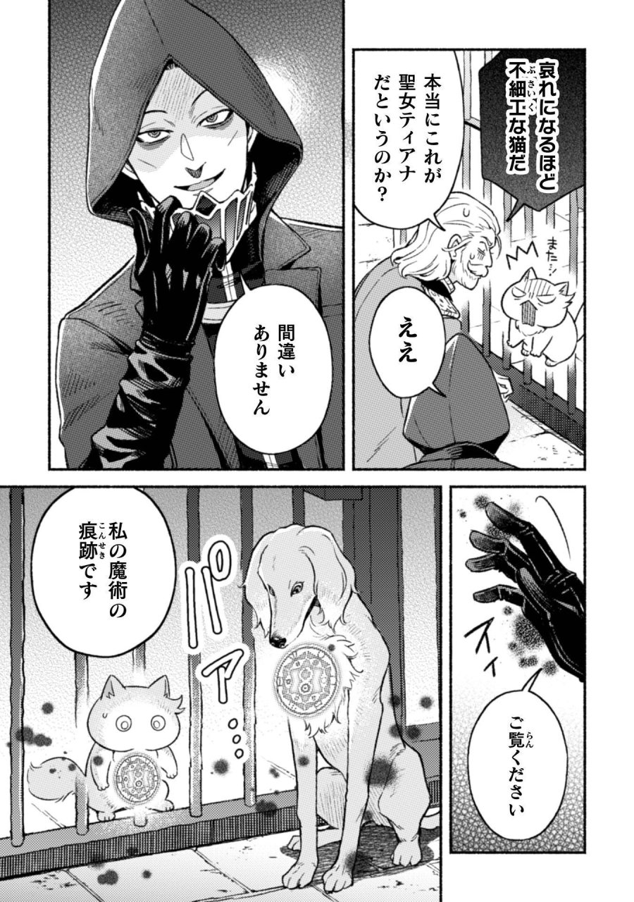 根暗騎士による溺愛満喫中のブサ猫、実は聖女です! 第12話 - Page 12
