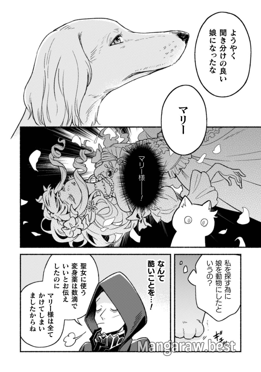 根暗騎士による溺愛満喫中のブサ猫、実は聖女です! 第12話 - Page 15