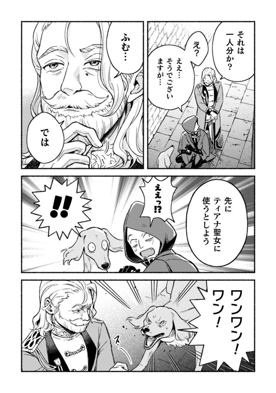 根暗騎士による溺愛満喫中のブサ猫、実は聖女です! 第12話 - Page 17