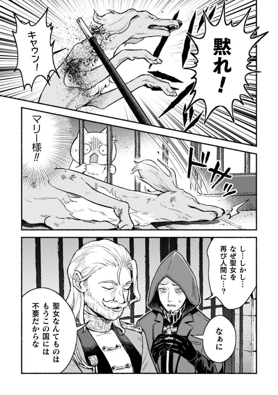 根暗騎士による溺愛満喫中のブサ猫、実は聖女です! 第12話 - Page 18
