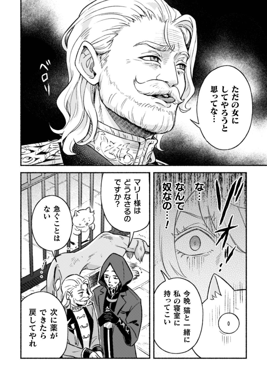 根暗騎士による溺愛満喫中のブサ猫、実は聖女です! 第12話 - Page 19