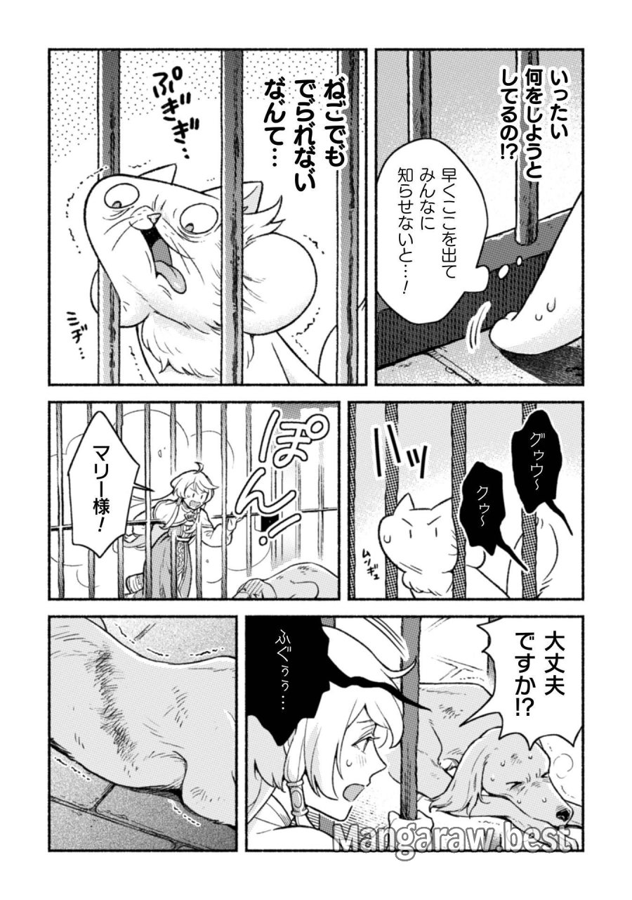 根暗騎士による溺愛満喫中のブサ猫、実は聖女です! 第12話 - Page 24