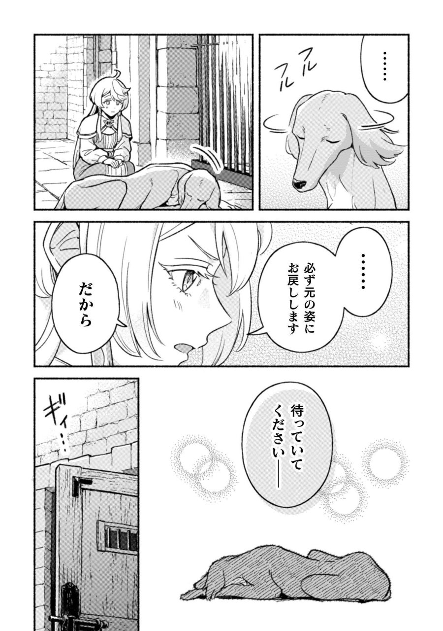 根暗騎士による溺愛満喫中のブサ猫、実は聖女です! 第12話 - Page 30