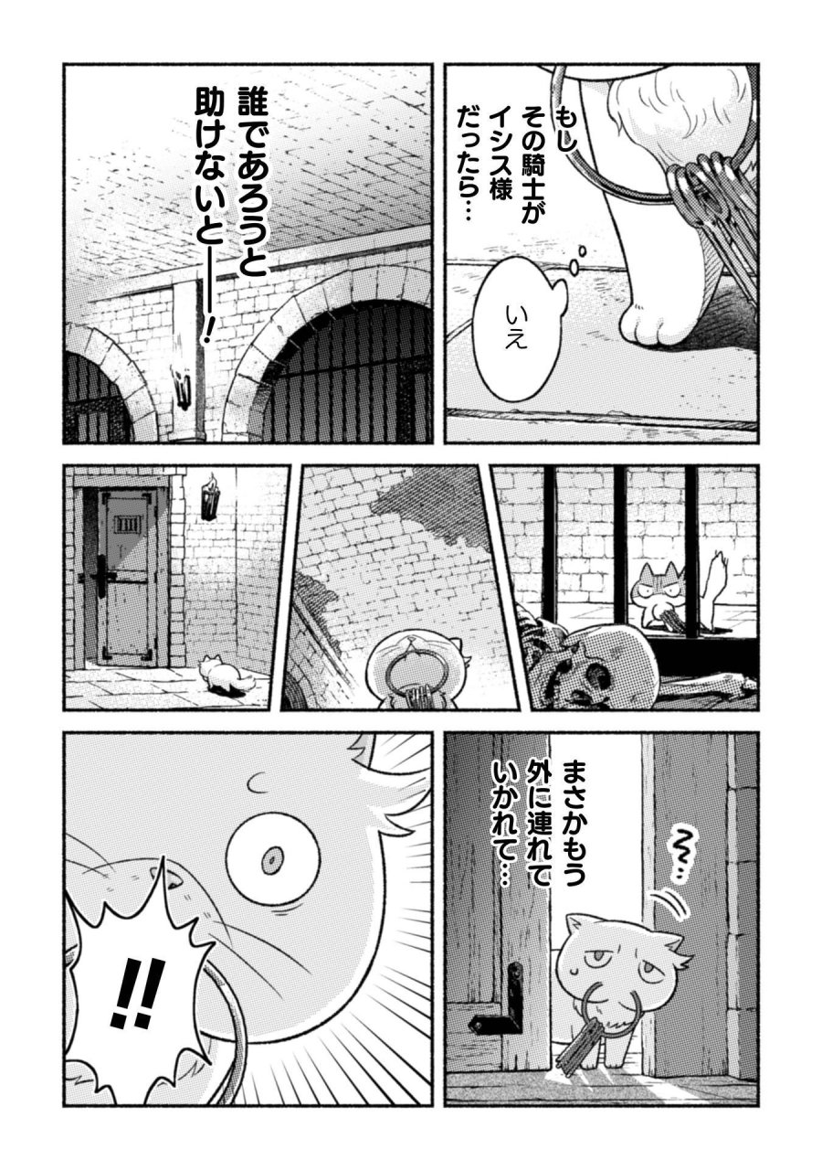 根暗騎士による溺愛満喫中のブサ猫、実は聖女です! 第12話 - Page 32