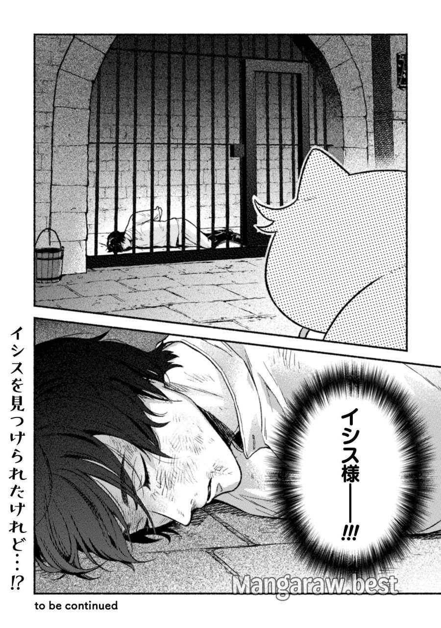 根暗騎士による溺愛満喫中のブサ猫、実は聖女です! 第12話 - Page 33
