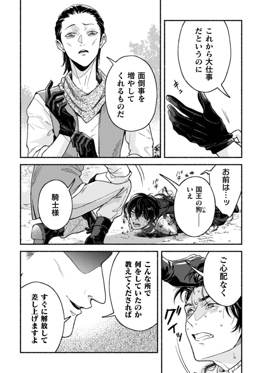 根暗騎士による溺愛満喫中のブサ猫、実は聖女です! 第12話 - Page 5