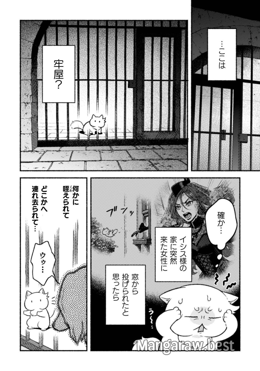 根暗騎士による溺愛満喫中のブサ猫、実は聖女です! 第12話 - Page 7