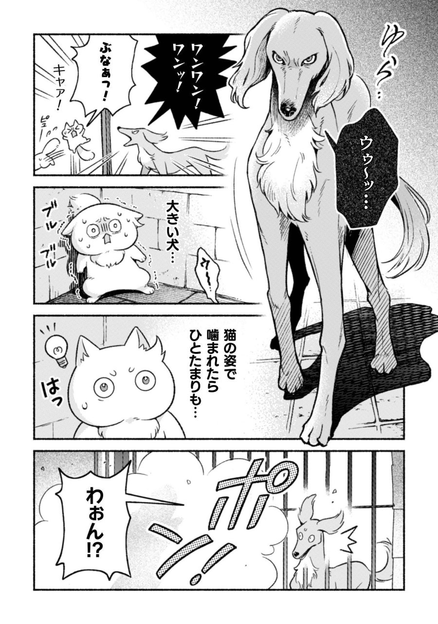 根暗騎士による溺愛満喫中のブサ猫、実は聖女です! 第12話 - Page 8