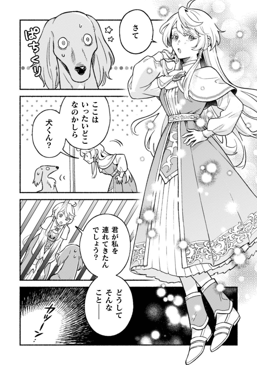 根暗騎士による溺愛満喫中のブサ猫、実は聖女です! 第12話 - Page 9