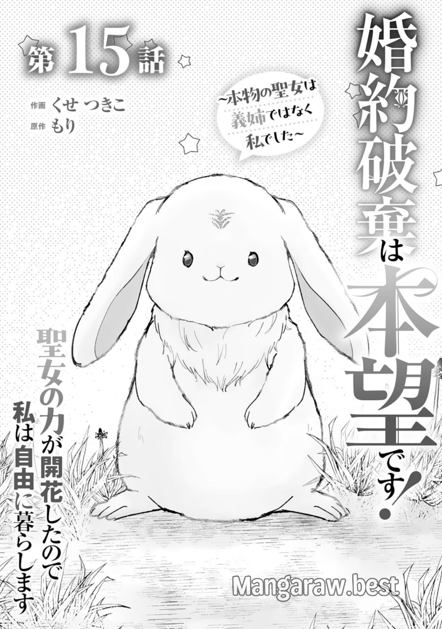 婚約破棄は本望です！聖女の力が開花したので私は自由に暮らします 第15話 - Page 1