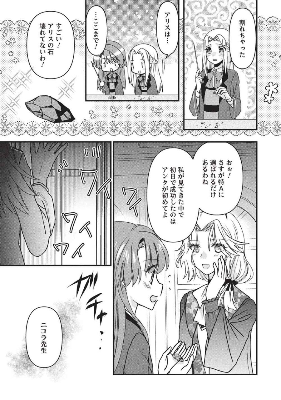 万能魔力の愛され令嬢は、魔法石細工を極めたいっ! 第4話 - Page 17