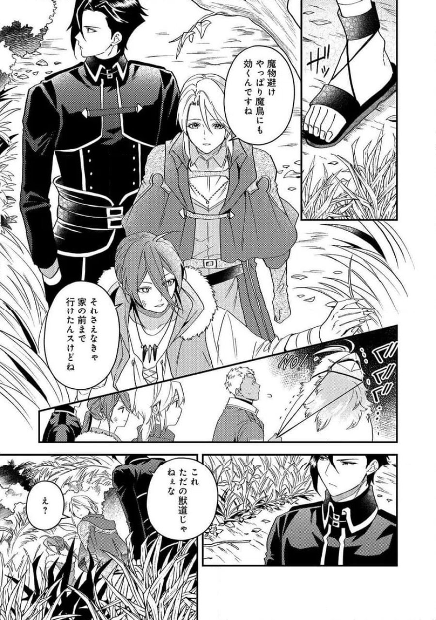 穏やか貴族の休暇のすすめ。@COMIC 第68話 - Page 19
