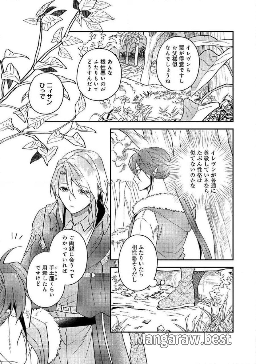 穏やか貴族の休暇のすすめ。@COMIC 第68話 - Page 21