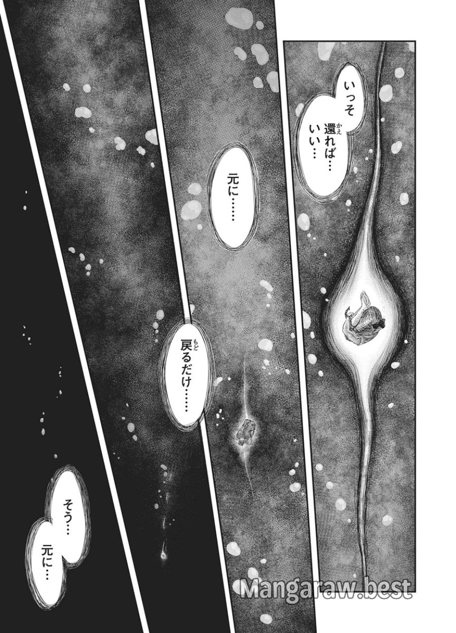 ベルセルク 第384話 - Page 5
