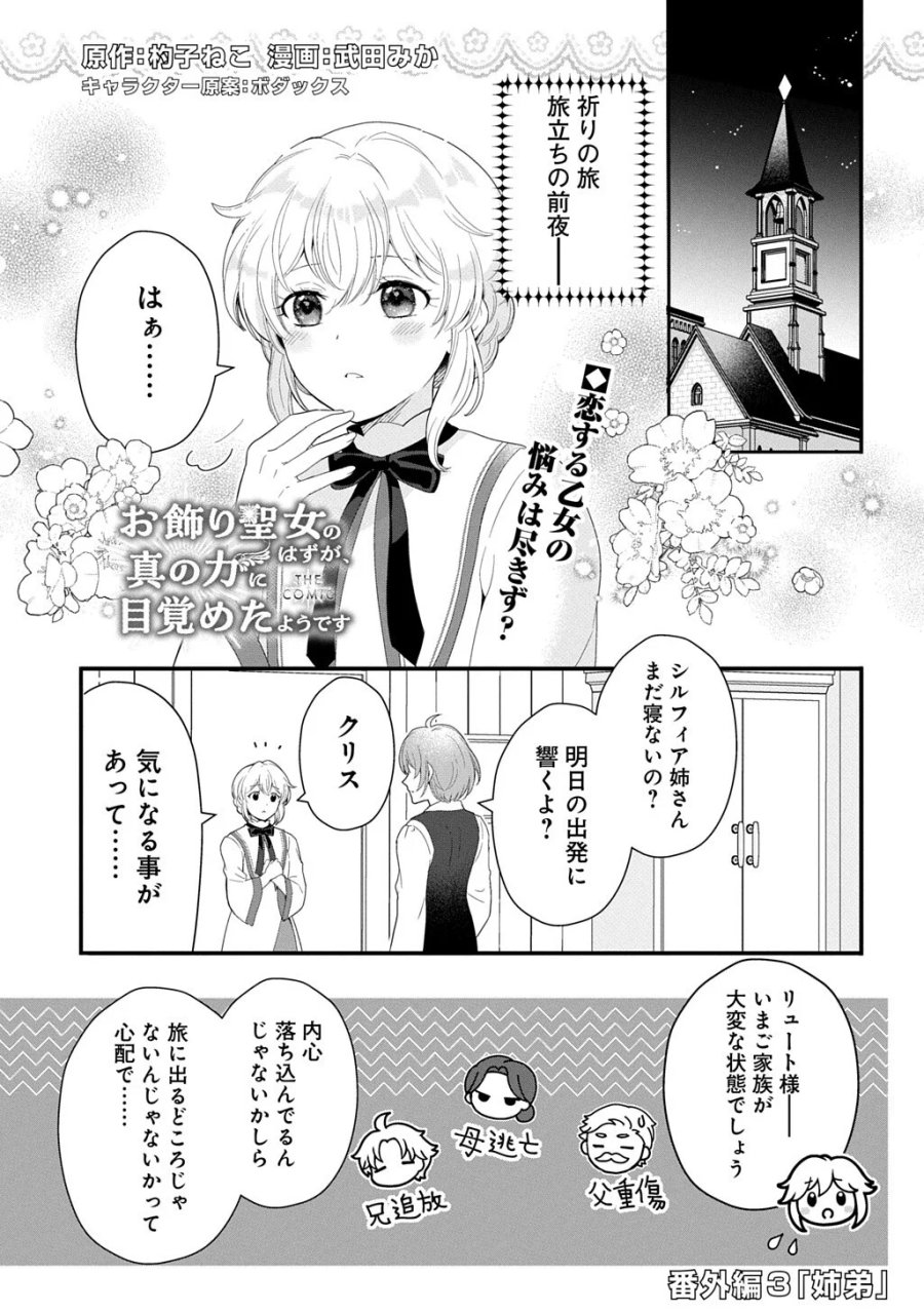 お飾り聖女のはずが、真の力に目覚めたようです THE COMIC 第17話 - Page 18