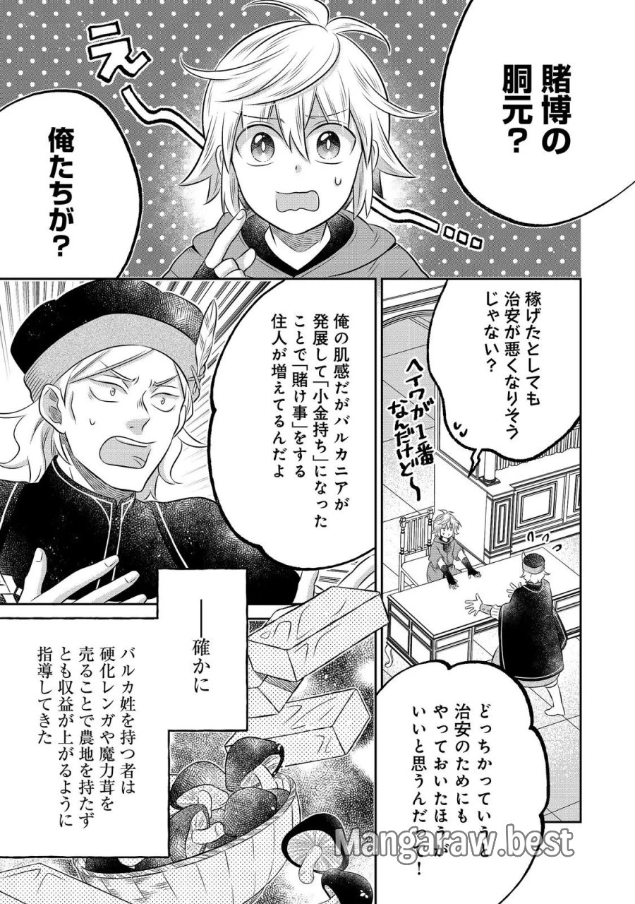 異世界の貧乏農家に転生したので、レンガを作って城を建てることにしました 第34.1話 - Page 5