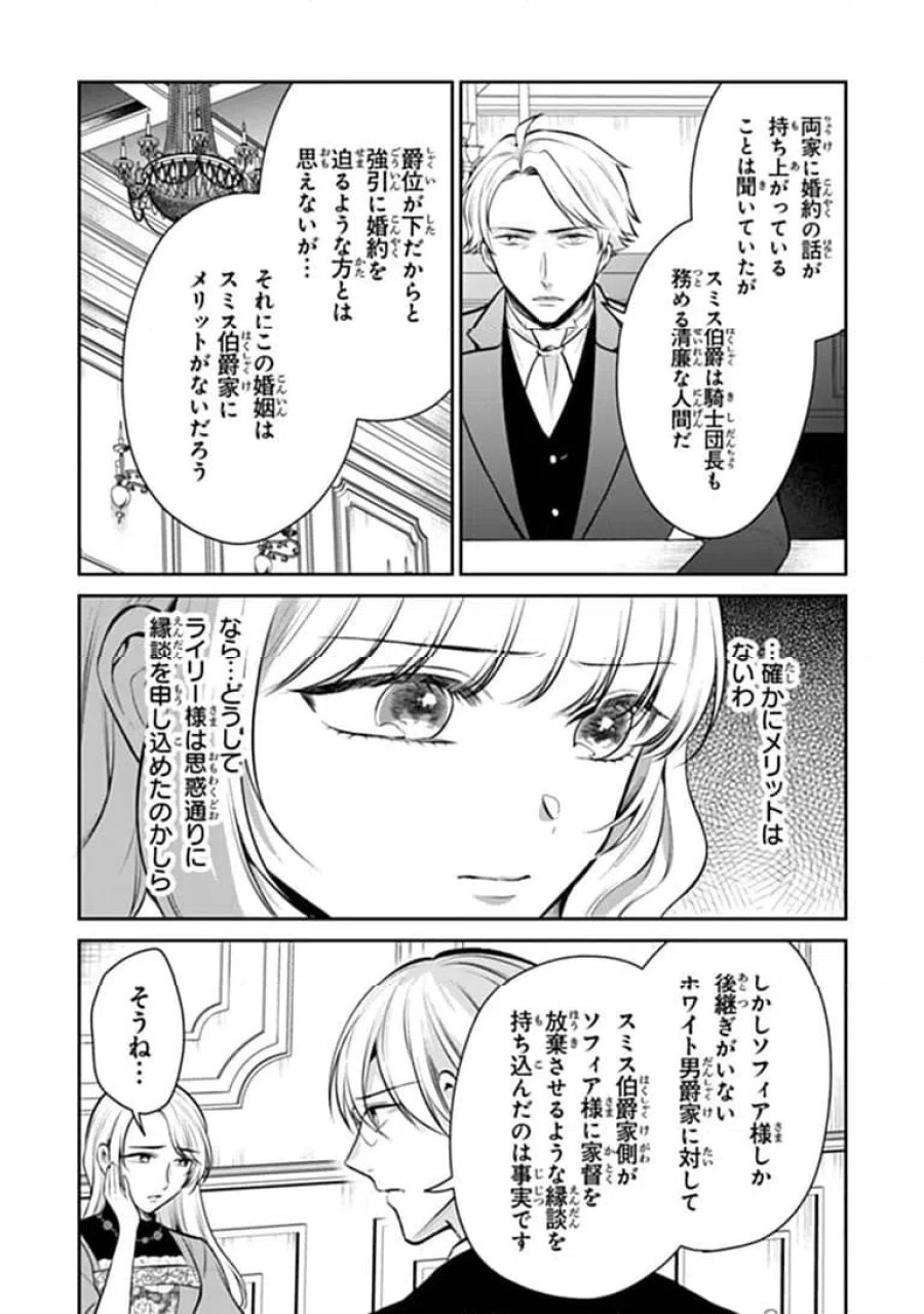 義妹が聖女だからと婚約破棄されましたが、私は妖精の愛し子です 第35.1話 - Page 5