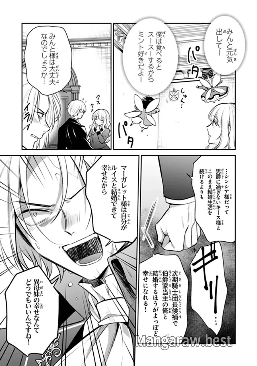 義妹が聖女だからと婚約破棄されましたが、私は妖精の愛し子です 第35.3話 - Page 10