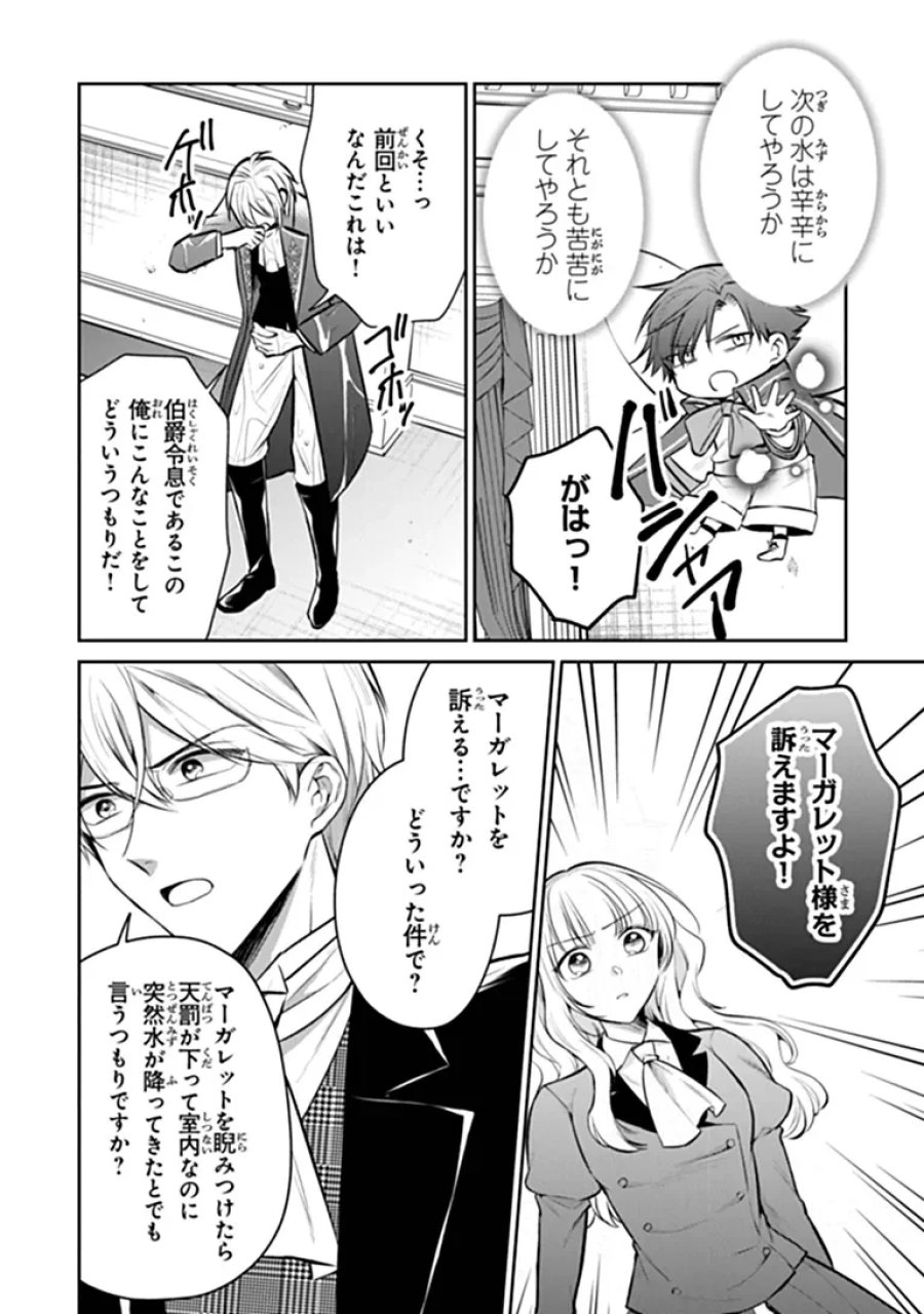 義妹が聖女だからと婚約破棄されましたが、私は妖精の愛し子です 第35.3話 - Page 7