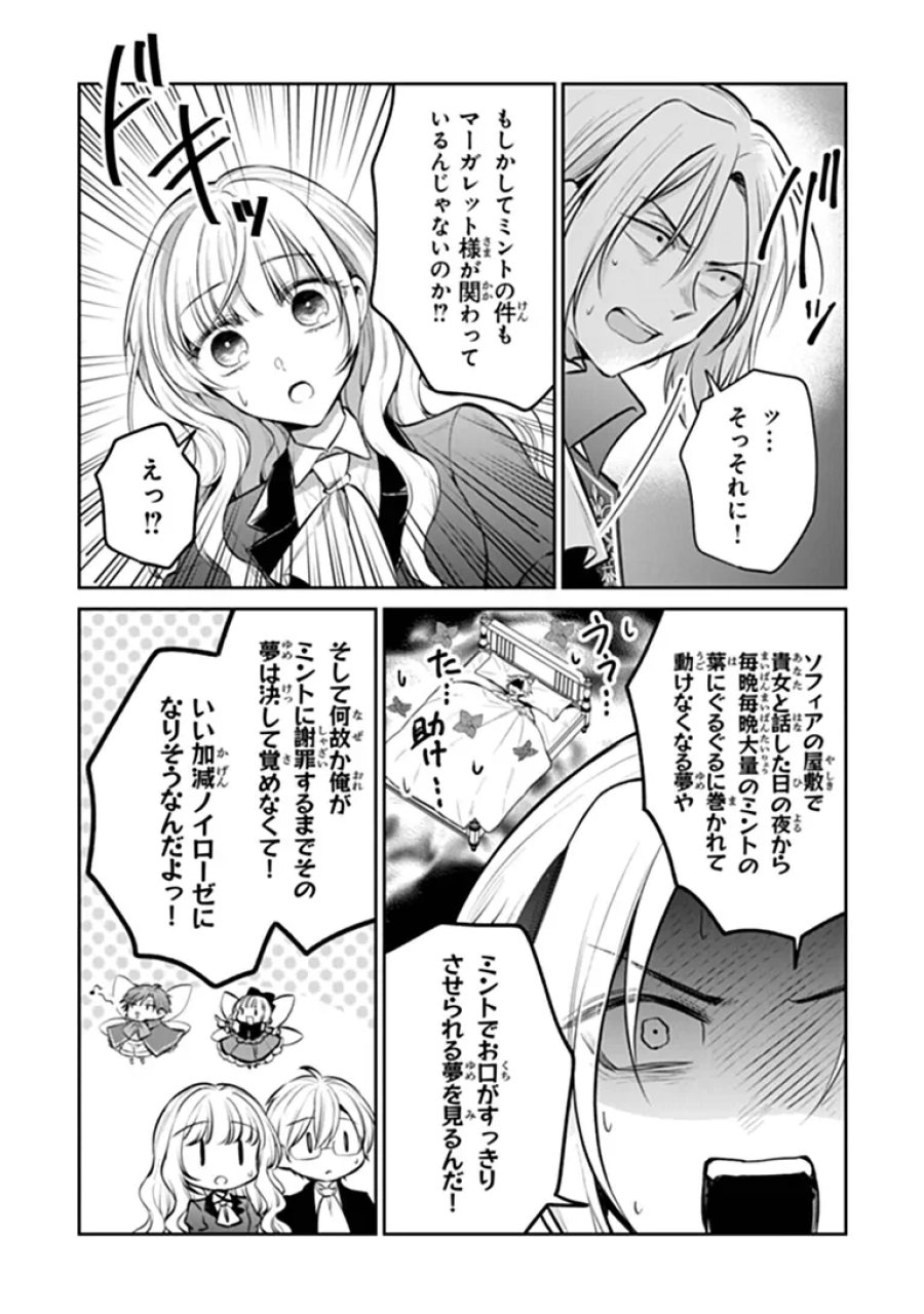 義妹が聖女だからと婚約破棄されましたが、私は妖精の愛し子です 第35.3話 - Page 8