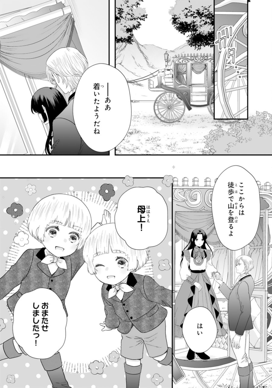 双子王子の継母になりまして～嫌われ悪女ですが、そんなことより義息子たちが可愛すぎて困ります～ 第15話 - Page 29