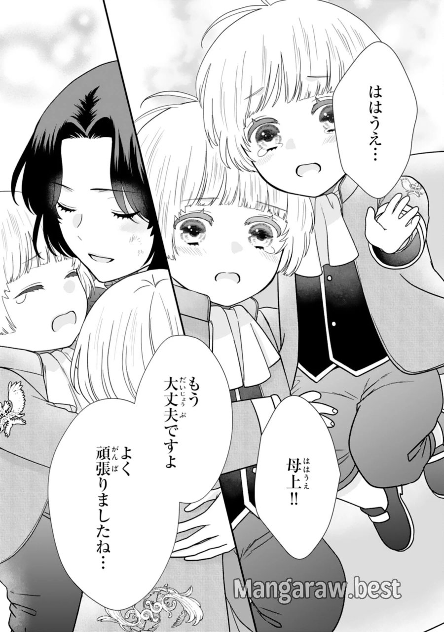 双子王子の継母になりまして～嫌われ悪女ですが、そんなことより義息子たちが可愛すぎて困ります～ 第16話 - Page 23