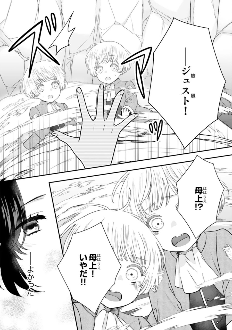 双子王子の継母になりまして～嫌われ悪女ですが、そんなことより義息子たちが可愛すぎて困ります～ 第16話 - Page 24