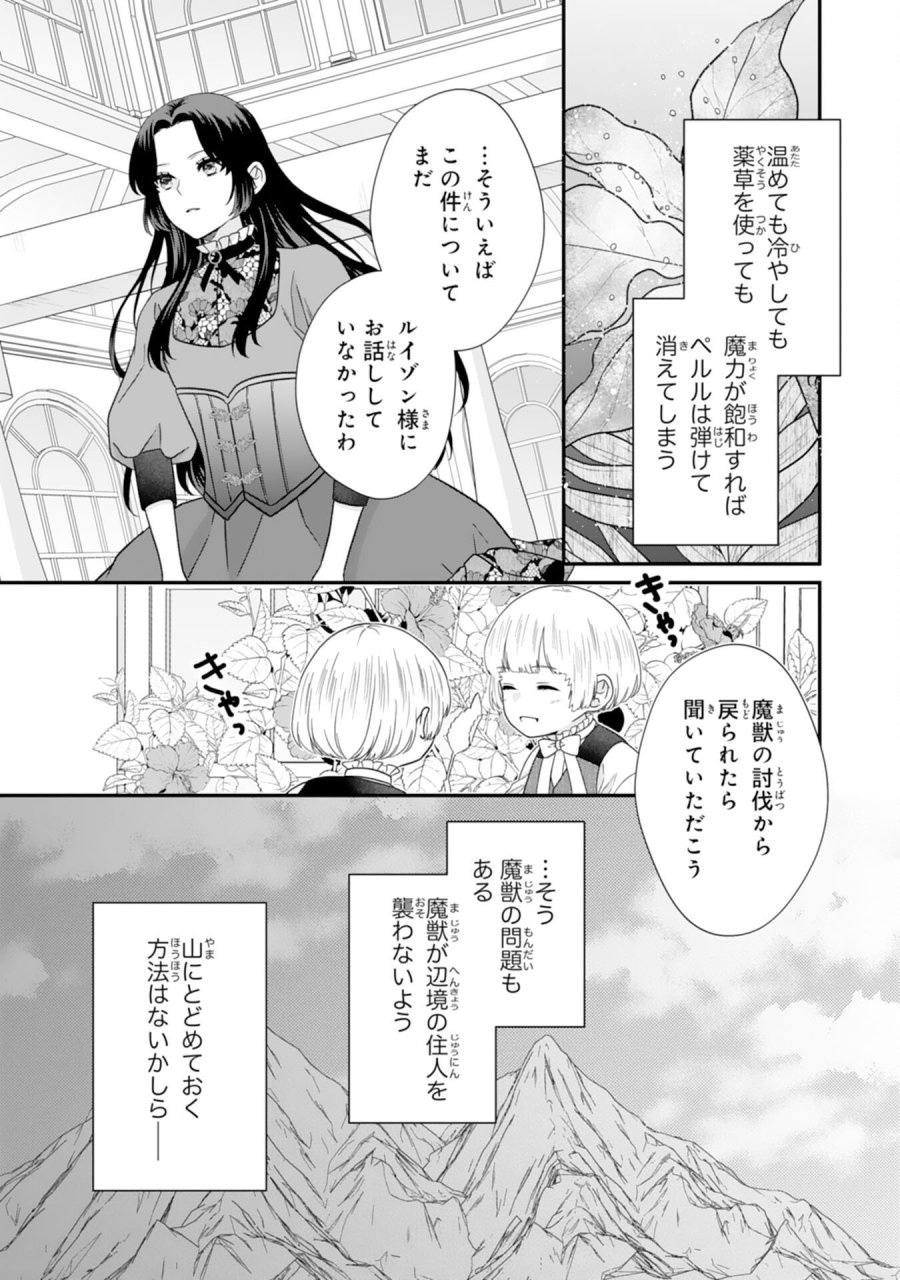 双子王子の継母になりまして～嫌われ悪女ですが、そんなことより義息子たちが可愛すぎて困ります～ 第14話 - Page 17