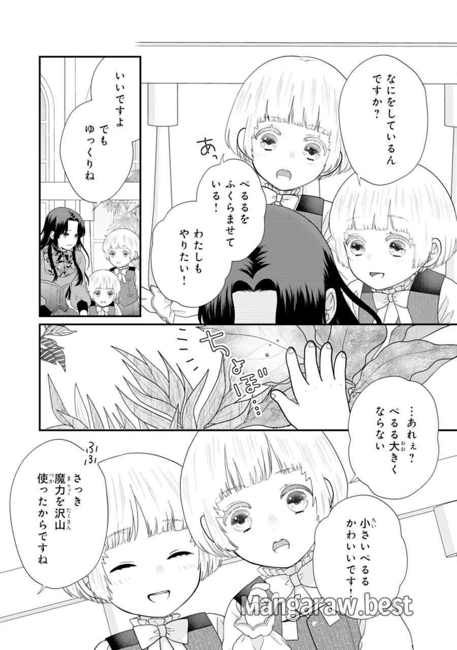 双子王子の継母になりまして～嫌われ悪女ですが、そんなことより義息子たちが可愛すぎて困ります～ 第14話 - Page 20