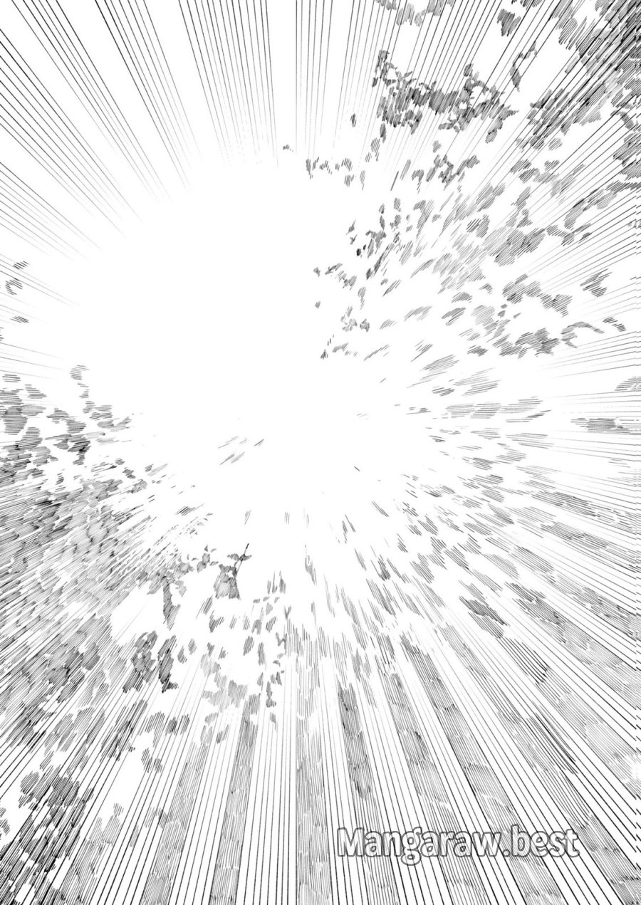召喚スキルを継承したので極めてみようと思います!〜モフモフ魔法生物と異世界ライフを満喫中〜 第15話 - Page 19