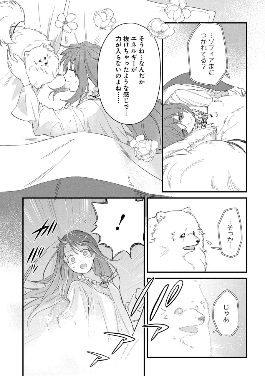 竜神様に見初められまして～虐げられ令嬢の三食もふもふ溺愛付き生活～ 第7話 - Page 9