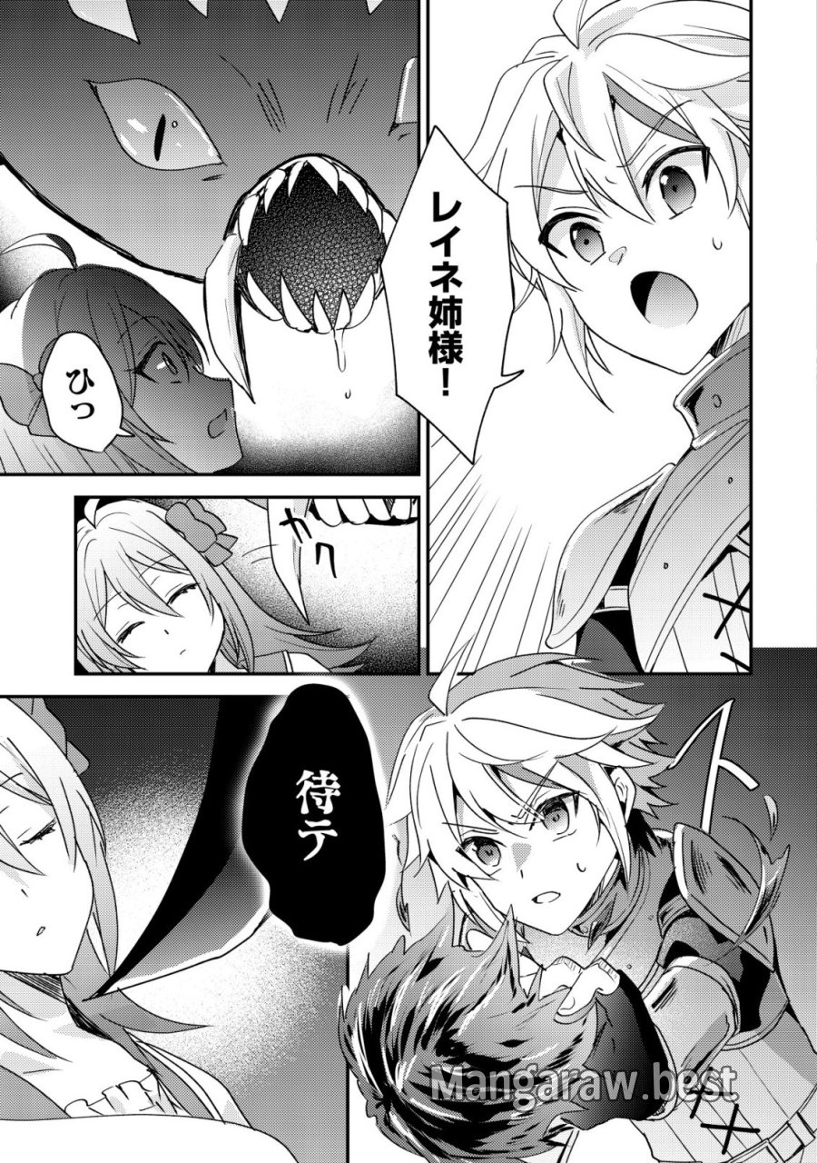 転生貴族の異世界冒険録　～カインのやりすぎギルド日記～ 第60話 - Page 29