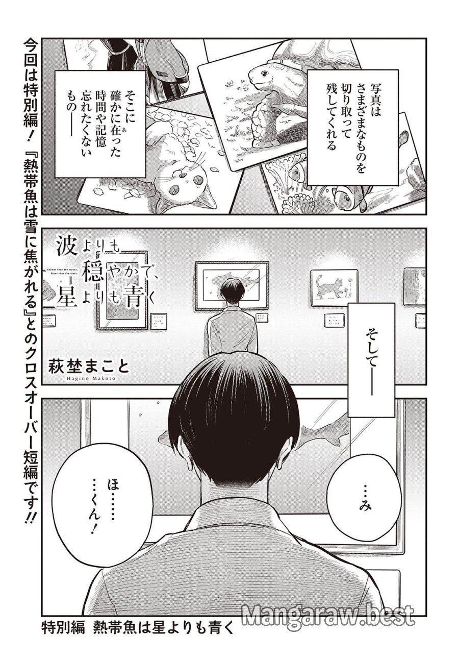 波よりも穏やかで、星よりも青く 第5.5話 - Page 1