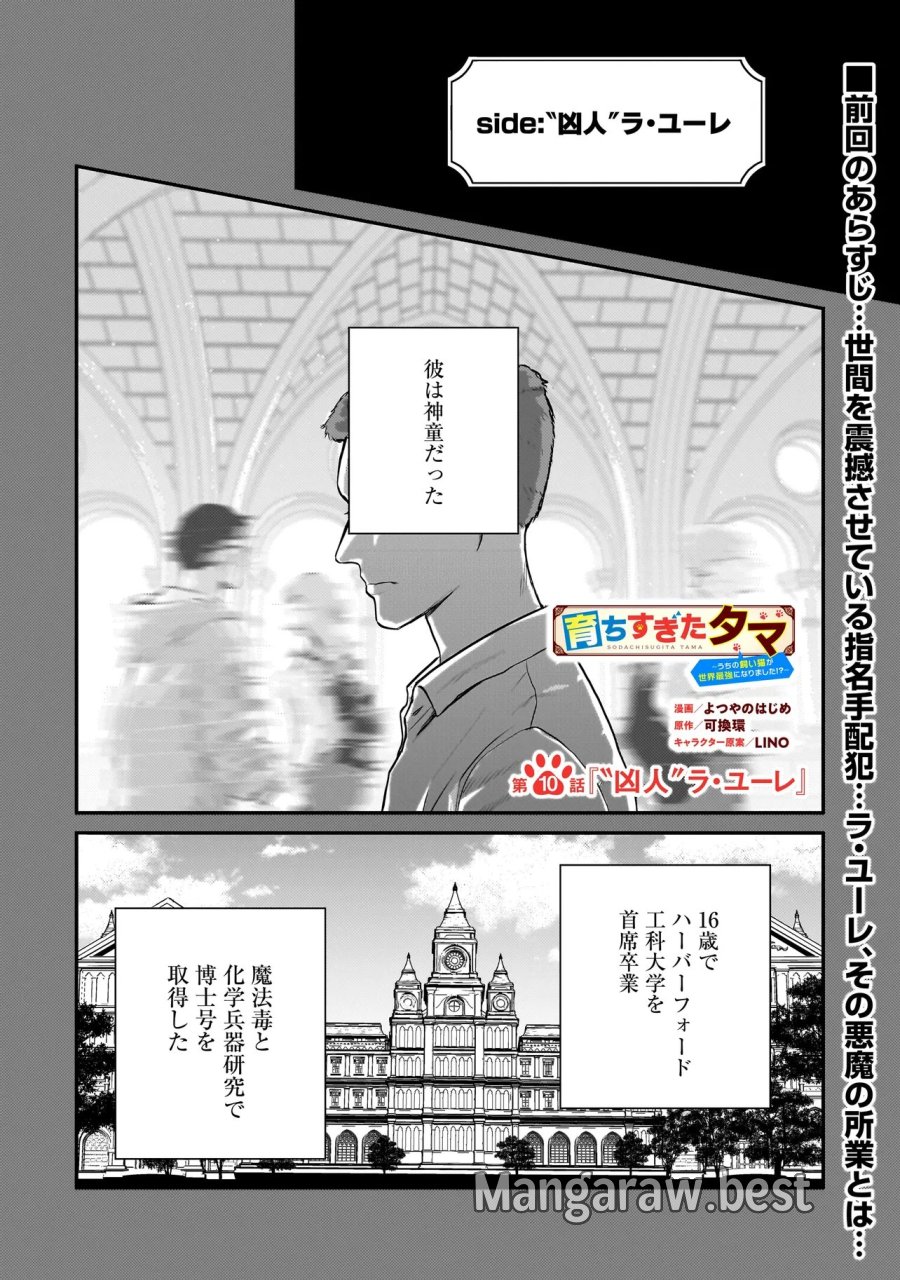 育ちすぎたタマ～うちの飼い猫が世界最強になりました!?～ 第10.1話 - Page 1