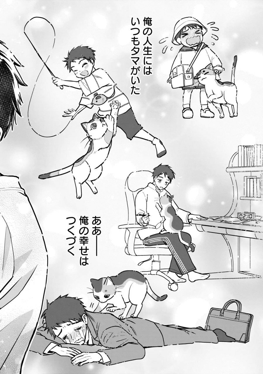 育ちすぎたタマ～うちの飼い猫が世界最強になりました!?～ 第11.1話 - Page 16