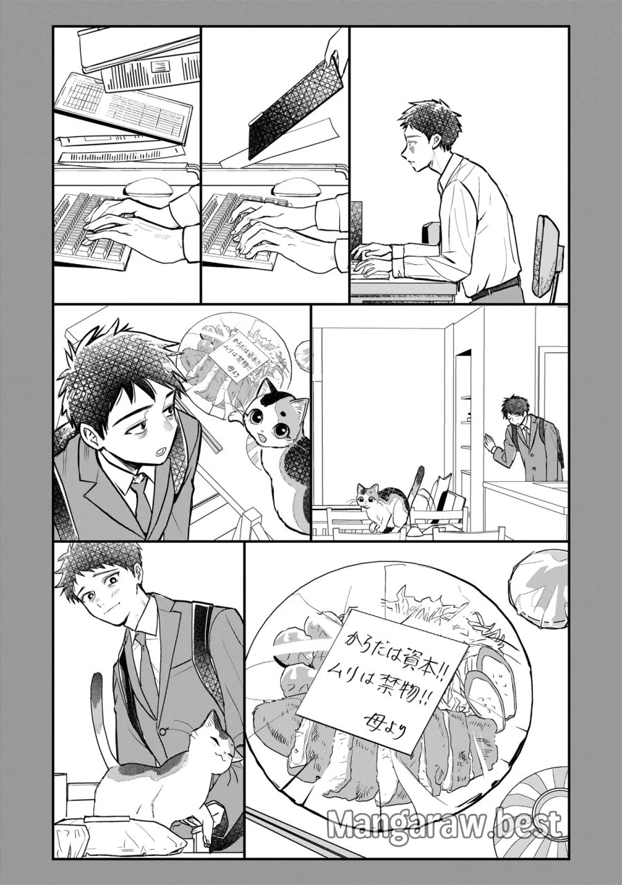 育ちすぎたタマ～うちの飼い猫が世界最強になりました!?～ 第11.1話 - Page 6