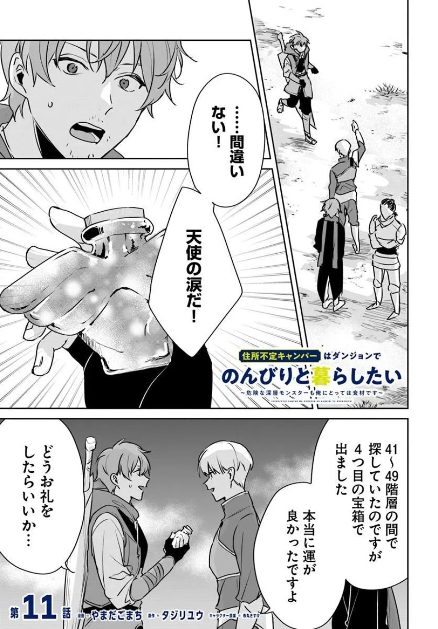 住所不定キャンパーはダンジョンでのんびりと暮らしたい ～危険な深層モンスターも俺にとっては食材です～ 第11.1話 - Page 1