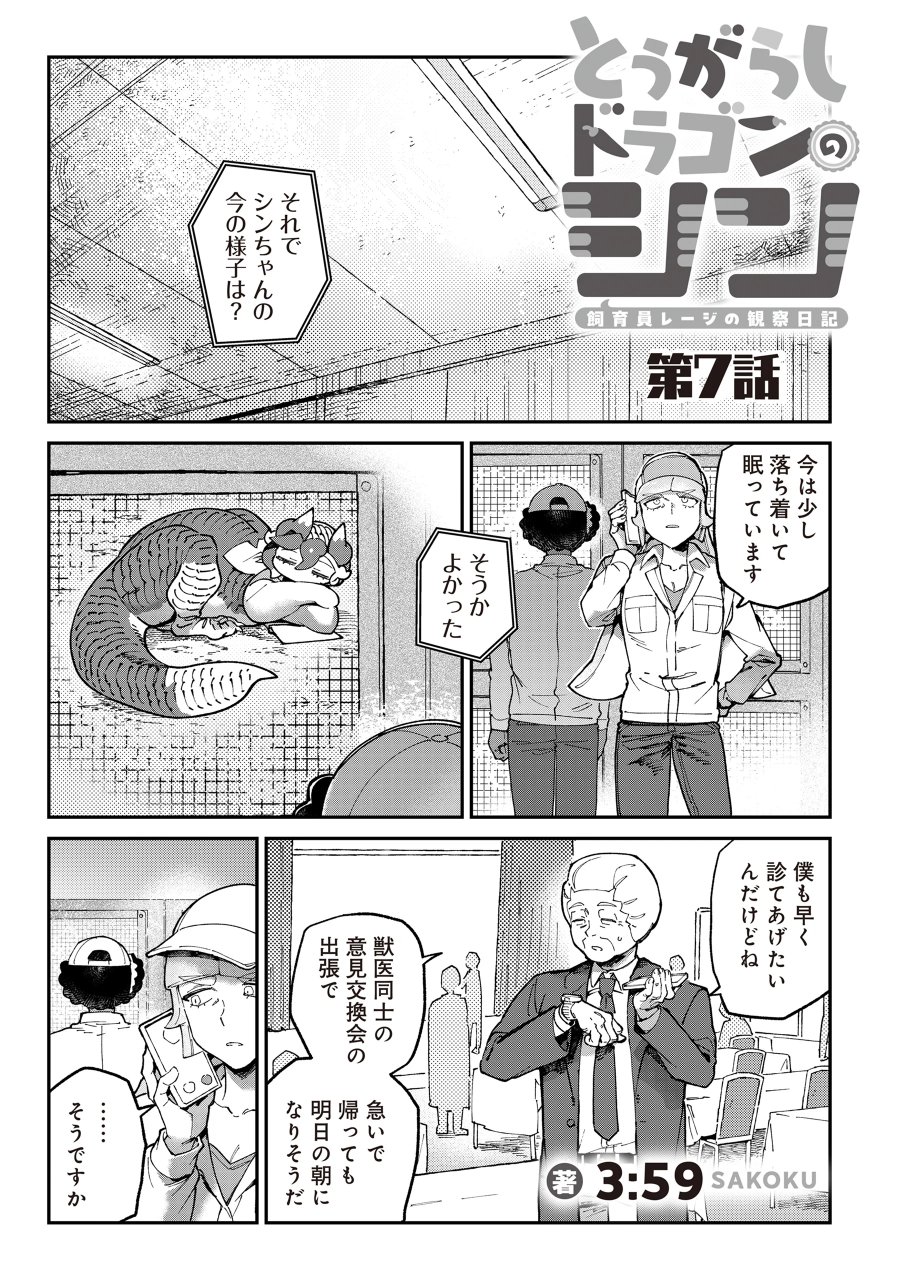 とうがらしドラゴンのシン 飼育員レージの観察日記 第7話 - Page 1
