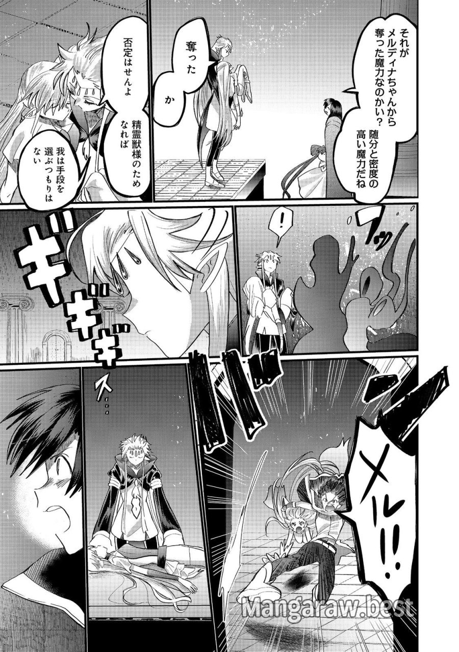 忌み子と呼ばれた召喚士 第46.2話 - Page 12