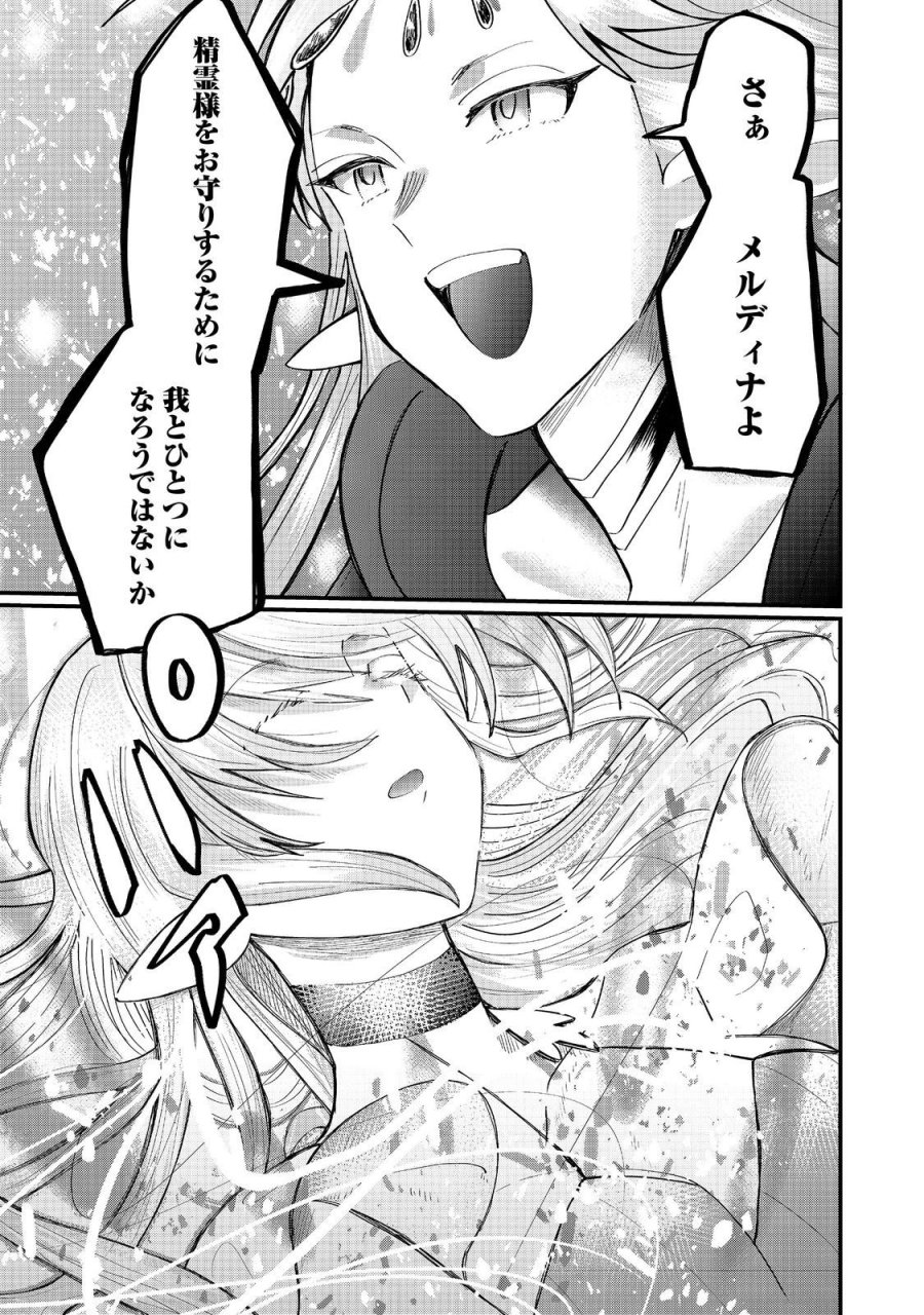 忌み子と呼ばれた召喚士 第46.2話 - Page 8