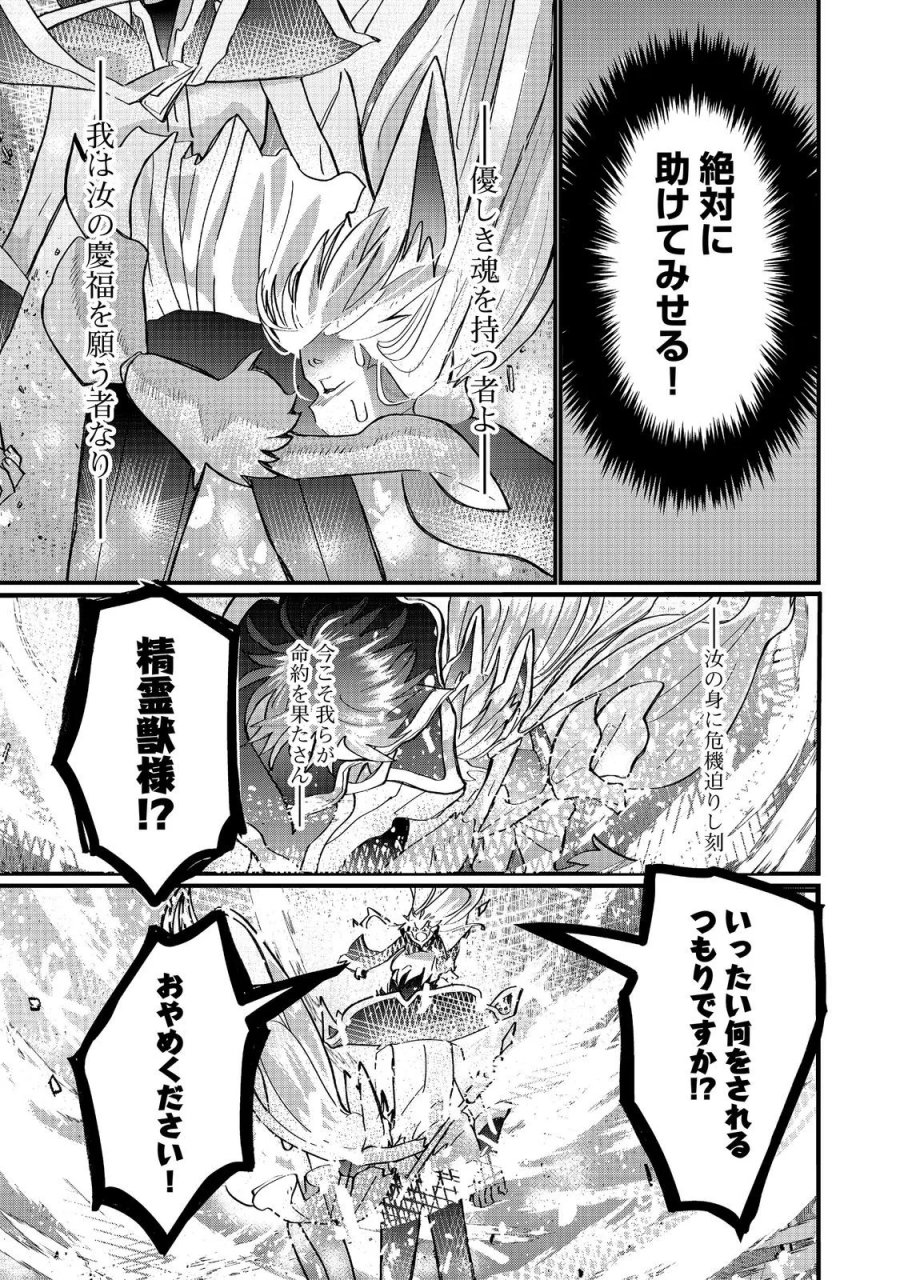 忌み子と呼ばれた召喚士 第47.1話 - Page 15