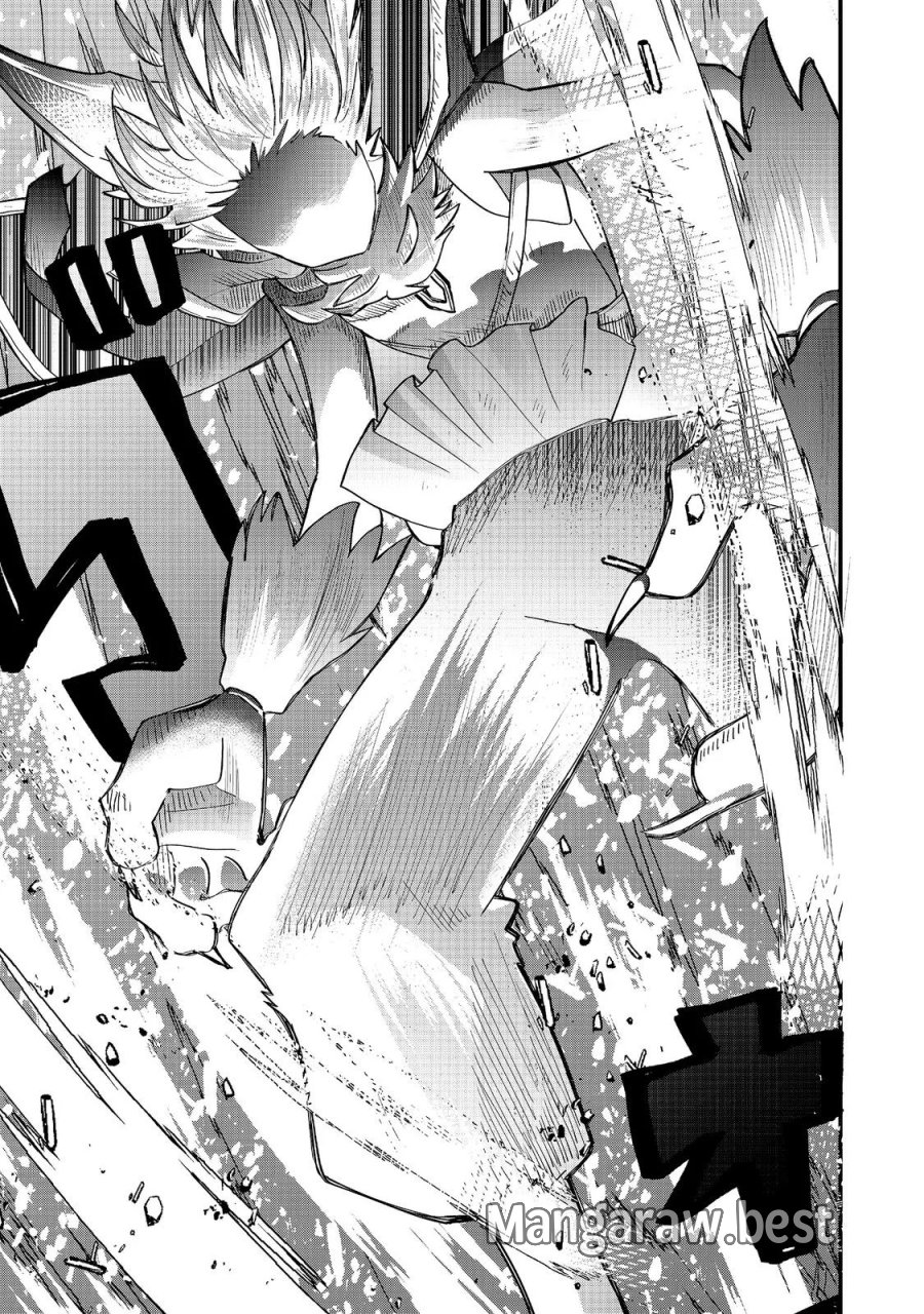 忌み子と呼ばれた召喚士 第47.1話 - Page 17